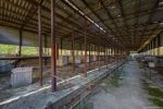 Chernobyl Exclusion Zone - Animal research center