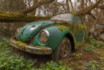 Cars in the Woods - France.