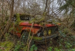 Cars in the Woods - France.