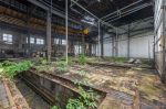 Abandoned Trains - Germany.